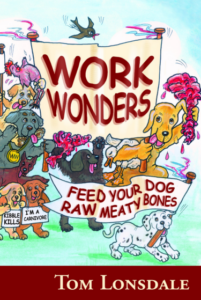 Work Wonders